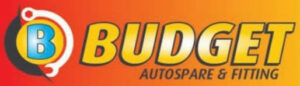 Budget Autospares & Tyres logo
