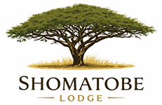 Shomatobe Lodge logo