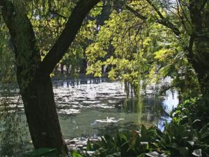 The Eye of Kuruman